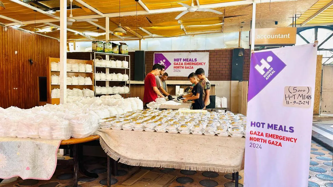 WhatsApp Image 2024-09-11 at 5.27.58 PM (3)